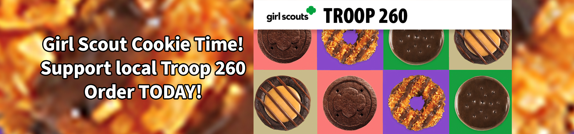 Girl Scout Cookies supporting Troop 260